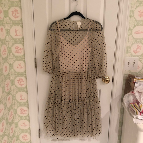 h&m sheer polka dot dress